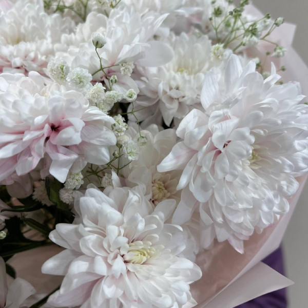 774 фото 2