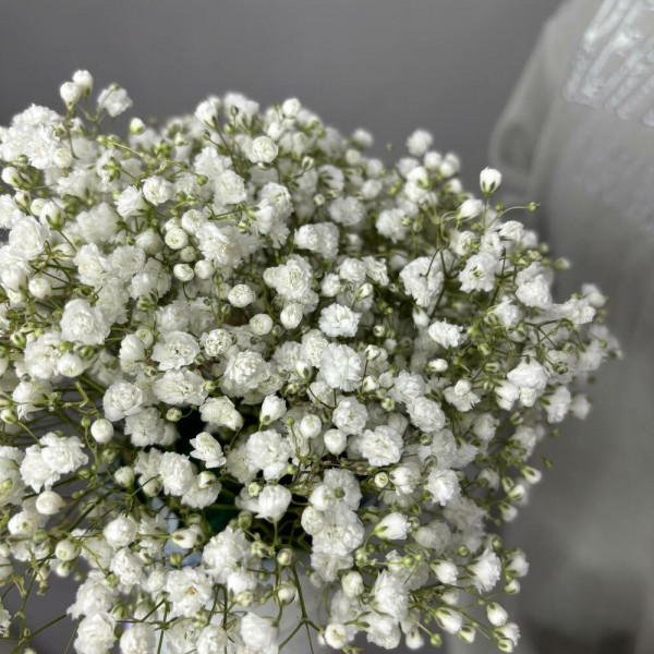 Композиция №52 фото 4