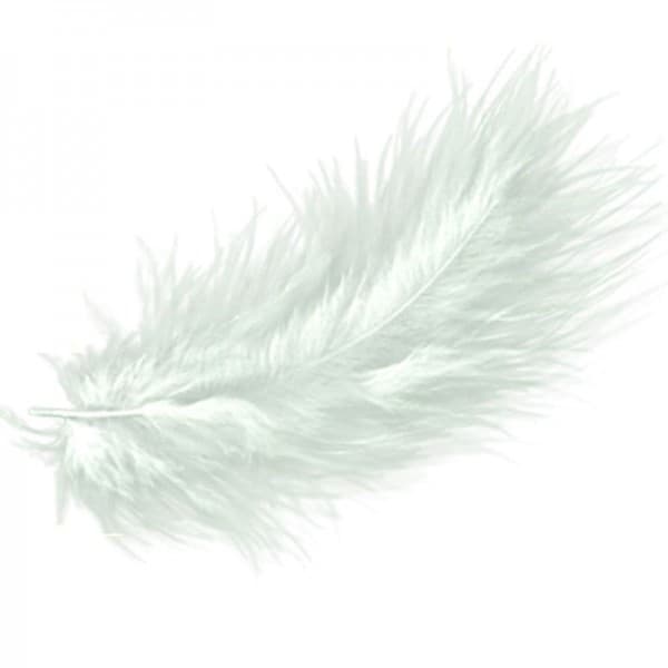 Перья Белые фото