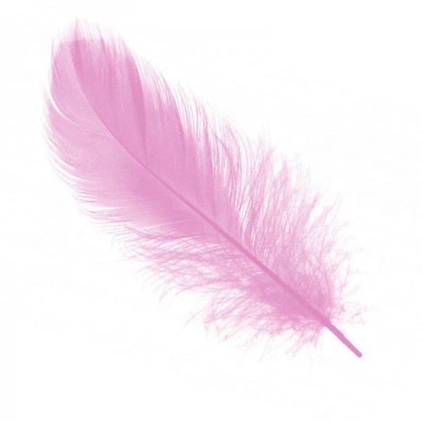 Перья Нежно-розовые фото