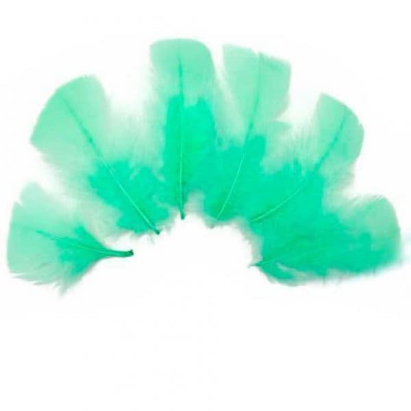 Перья Мятные фото