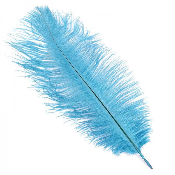 Перья Голубые фото