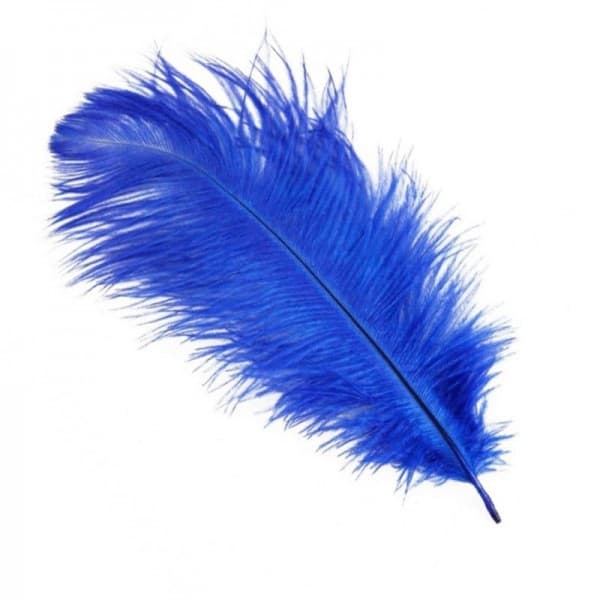 Перья Синие фото