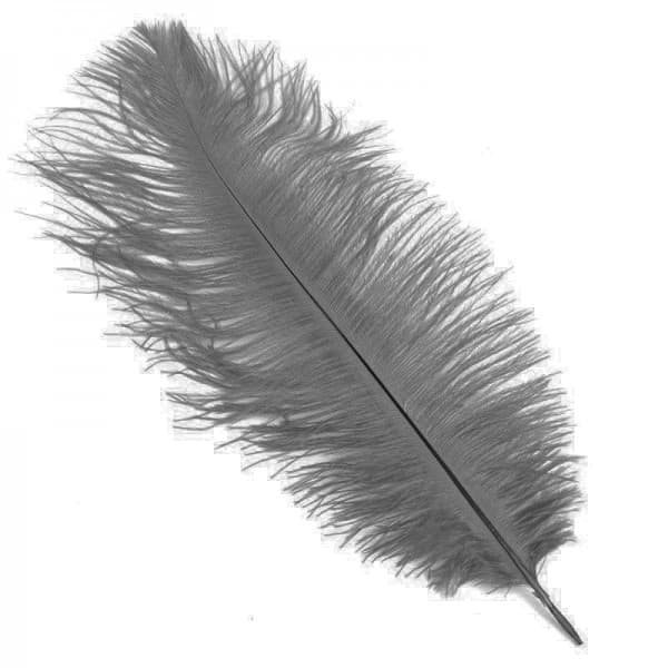 Перья Серые фото