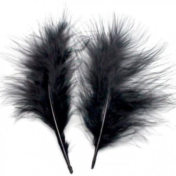Перья Черные фото