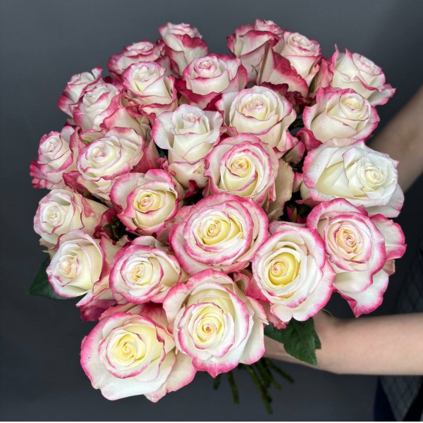 Букет из 25 роз с окантовкой фото 3