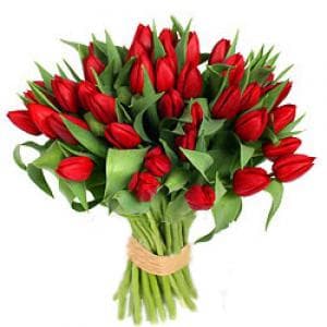 Букет из 41 красного тюльпана фото