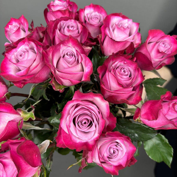 Букет из 15 фиолетовых роз фото 4