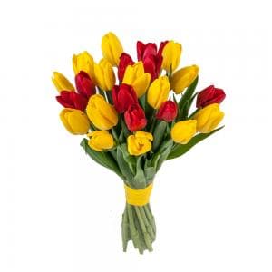 Букет из 25 желто-красных тюльпанов фото