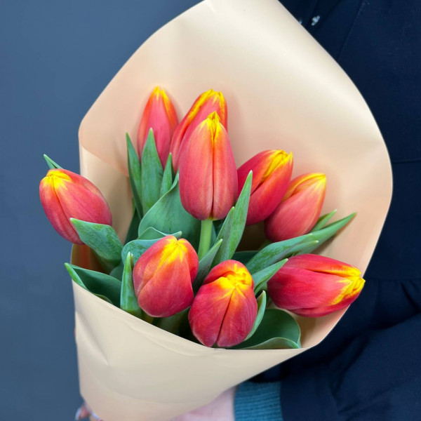 Букет из 9 тюльпанов фото 3