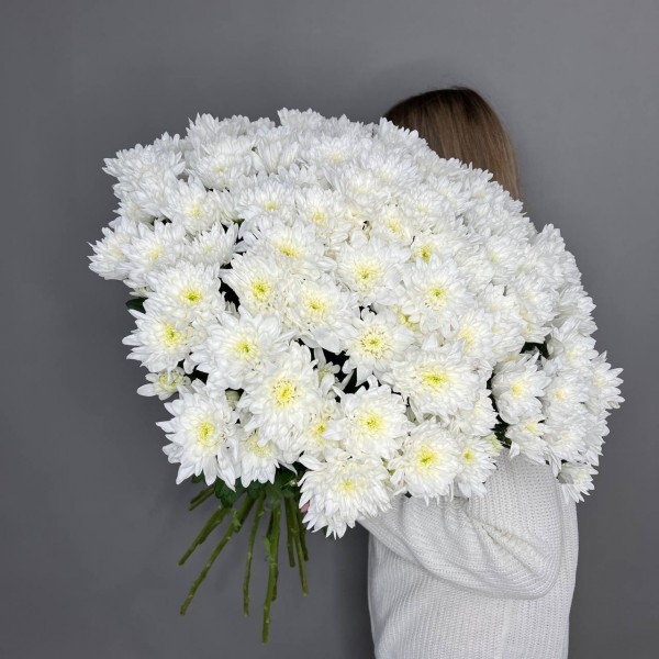 Букет из 25 белых хризантем фото 1
