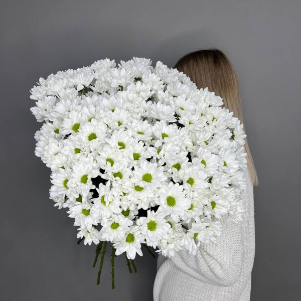 25 белых кустовых хризантем фото 1