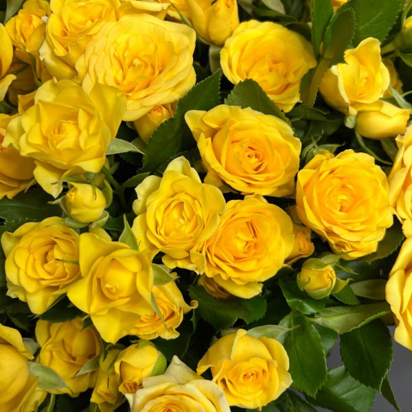 Букет из 25 желтых кустовых роз фото 3
