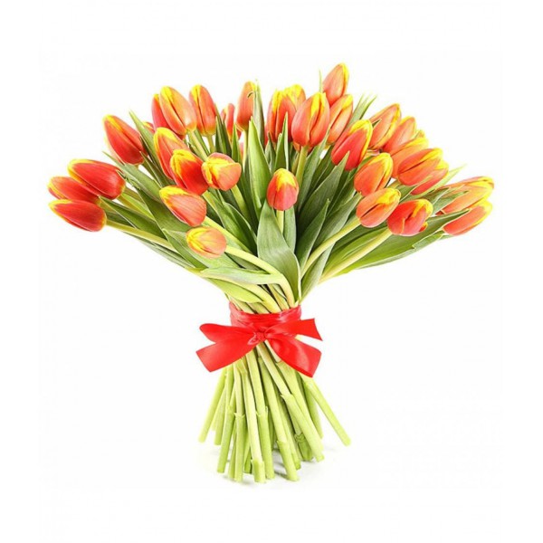 Букет из 51 оранжевого тюльпана фото