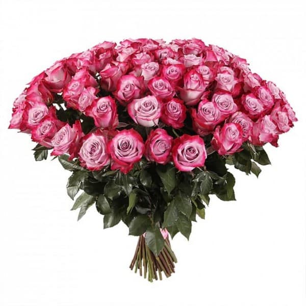Букет из 101 фиолетовой розы фото 1