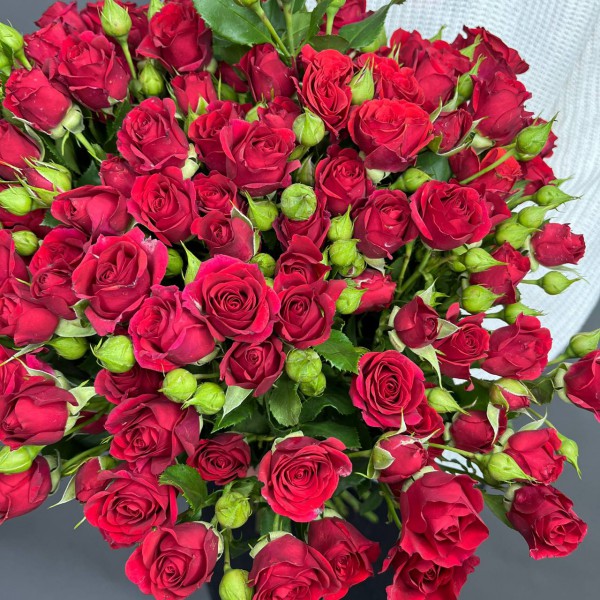 Букет из 25 красных кустовых роз фото 3