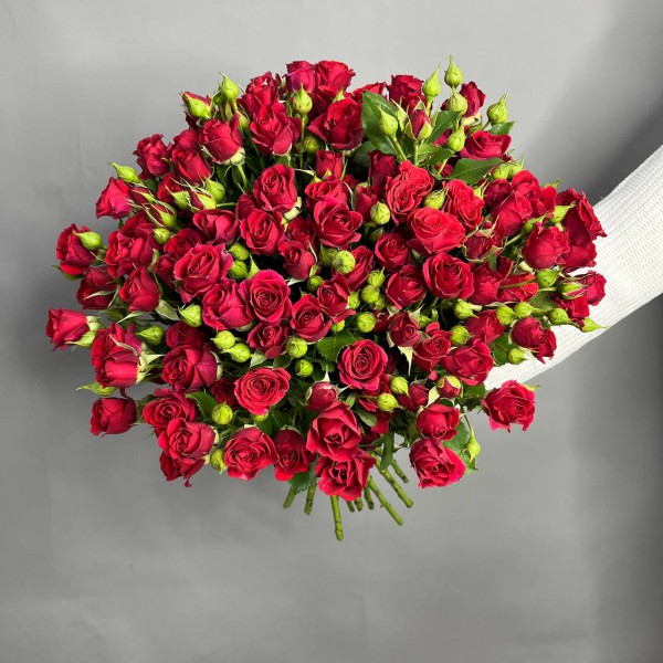 Букет из 25 красных кустовых роз фото 2