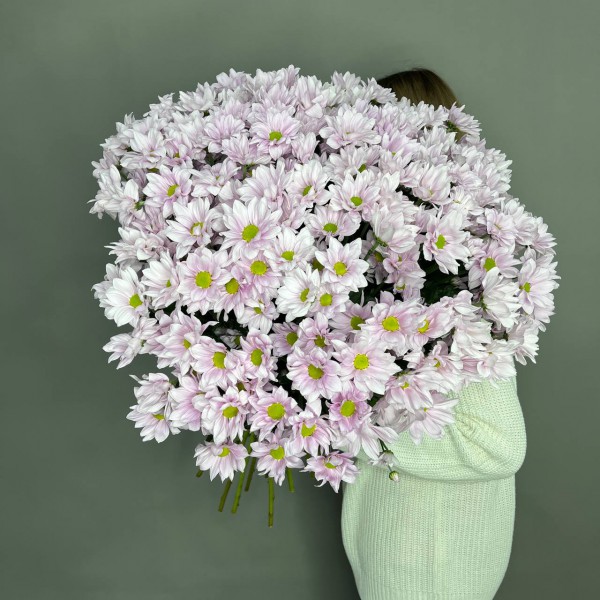 Букет из 25 розовых кустовых хризантем фото 1