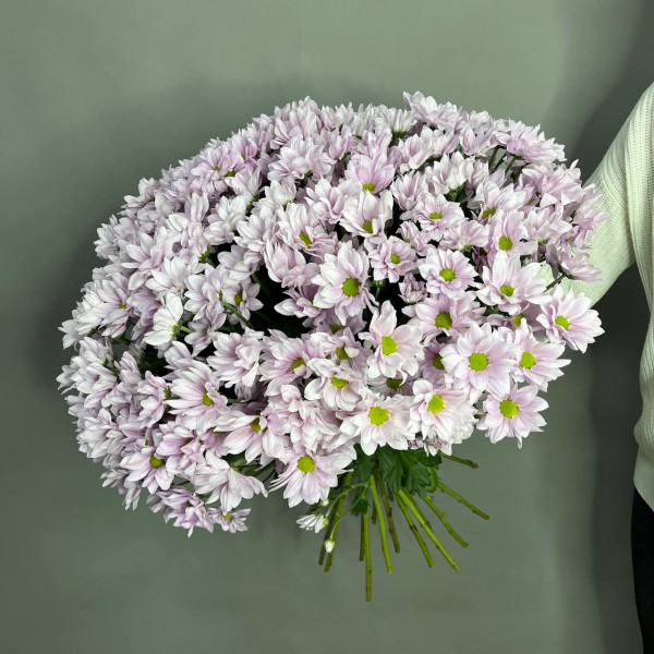 Букет из 25 розовых кустовых хризантем фото 2