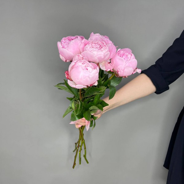 Букет из 5 пионов фото 2
