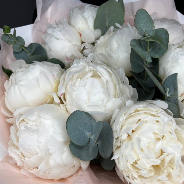Букет из 11 белых пионов фото 3