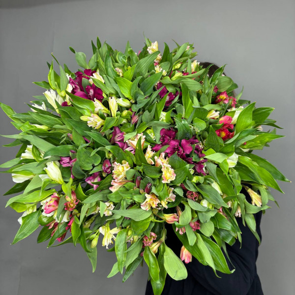 Букет из 35 цветных альстромерий фото 2