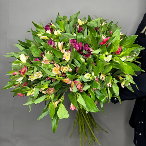 Букет из 35 цветных альстромерий фото 1