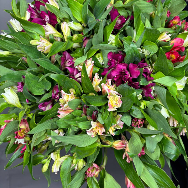 Букет из 35 цветных альстромерий фото 3