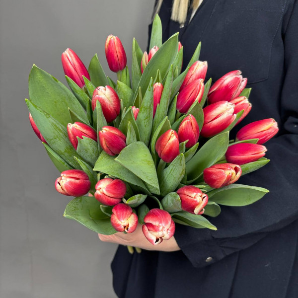 Букет из 25 бело-красных тюльпанов фото 1