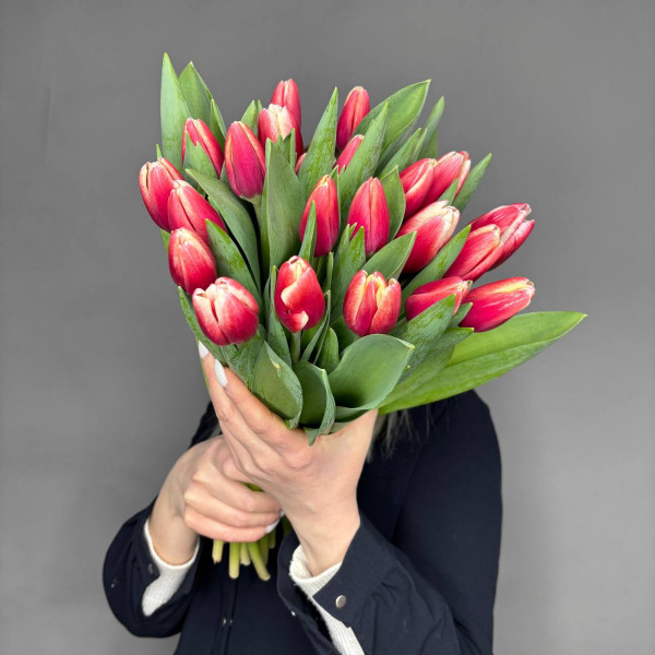 Букет из 25 бело-красных тюльпанов фото 2