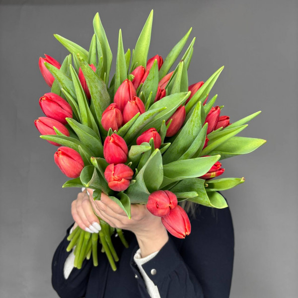 Букет из 25 красных тюльпанов фото 2