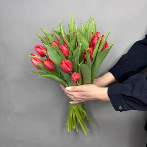 Букет из 25 красных тюльпанов фото 3