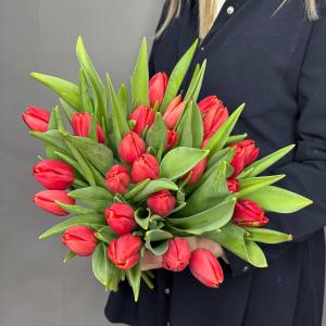 Букет из 25 красных тюльпанов фото 1