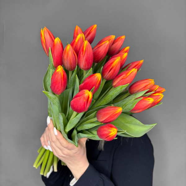Букет из 25 желто-красных тюльпанов фото 1