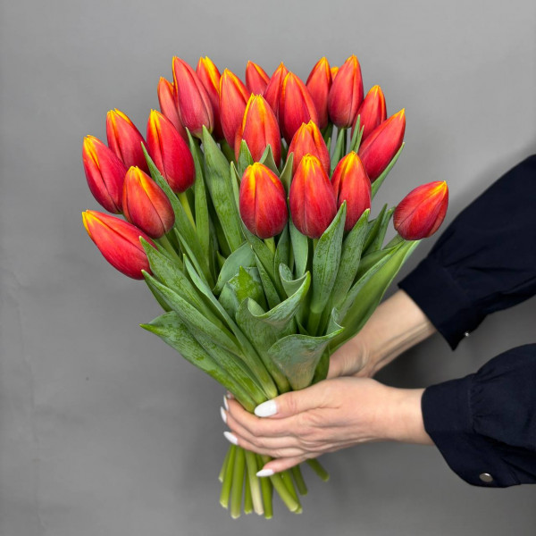 Букет из 25 желто-красных тюльпанов фото 3