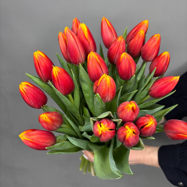 Букет из 25 желто-красных тюльпанов фото 4