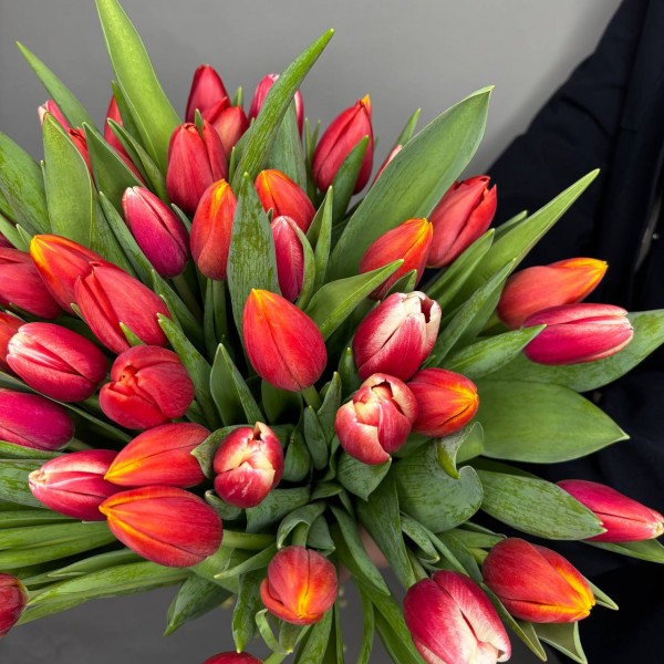 Букет из 51 тюльпана фото 3