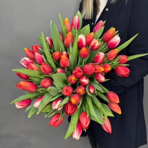 Букет из 51 тюльпана фото