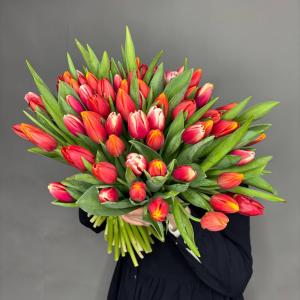 Букет из 75 тюльпанов фото 1