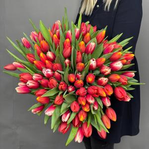Букет из 101 тюльпана фото 1