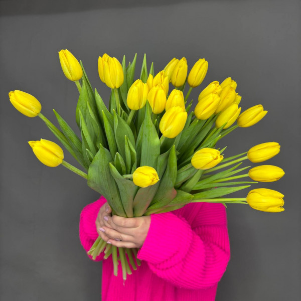 Букет из 25 желтых тюльпанов фото 1