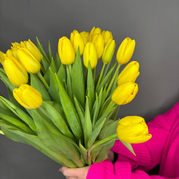 Букет из 25 желтых тюльпанов фото 4
