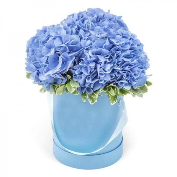 Шляпная коробочка с гидрангеей фото