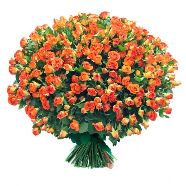 Букет из 51 оранжевой кустовой розы фото