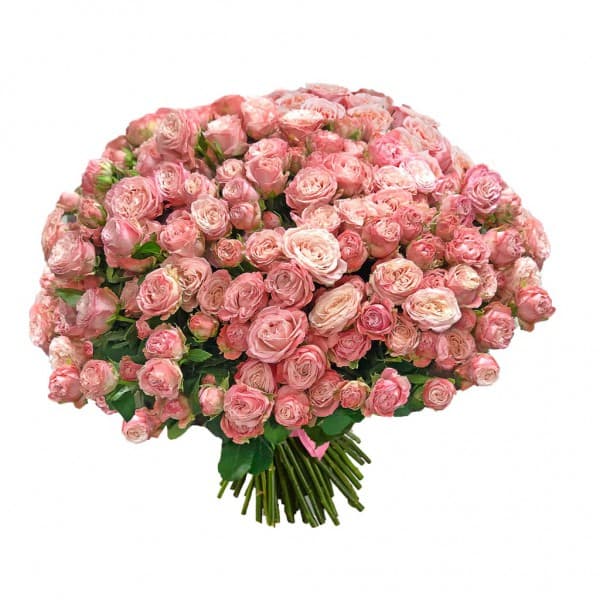 Букет из 51 розовой кустовой розы фото