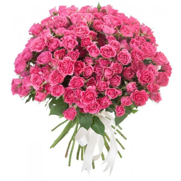 Букет из 25 розовых кустовых роз фото