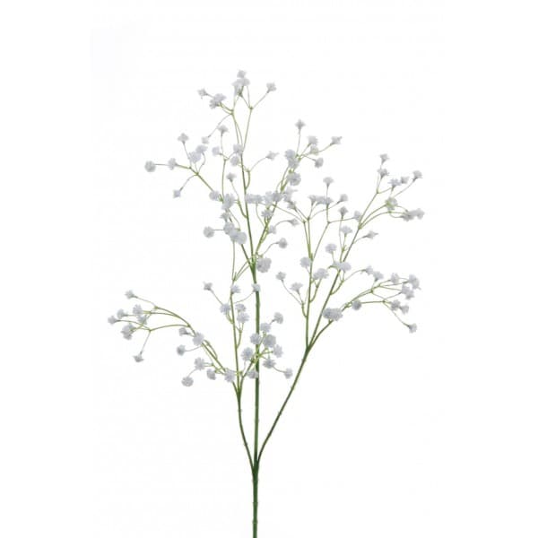 Гипсофила фото