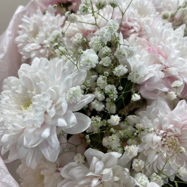 774 фото 3