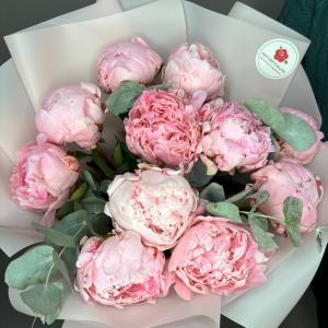 история пионов