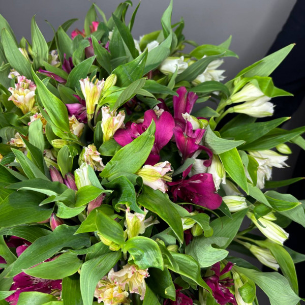 Букет из 25 альстромерий фото 3